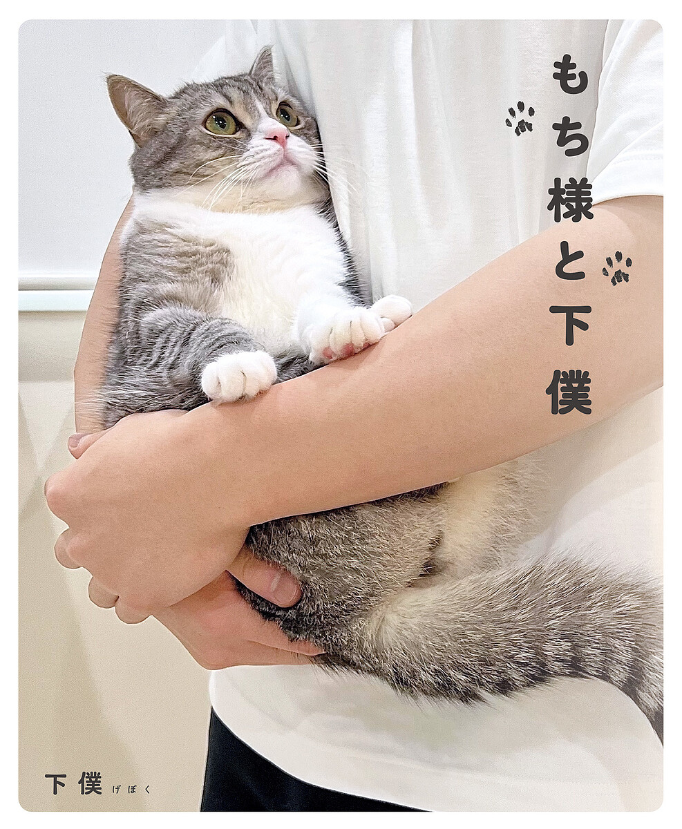 楽天市場】貢(mitsugu) 猫用おもちゃ もちまる日記 とん様 : タロット