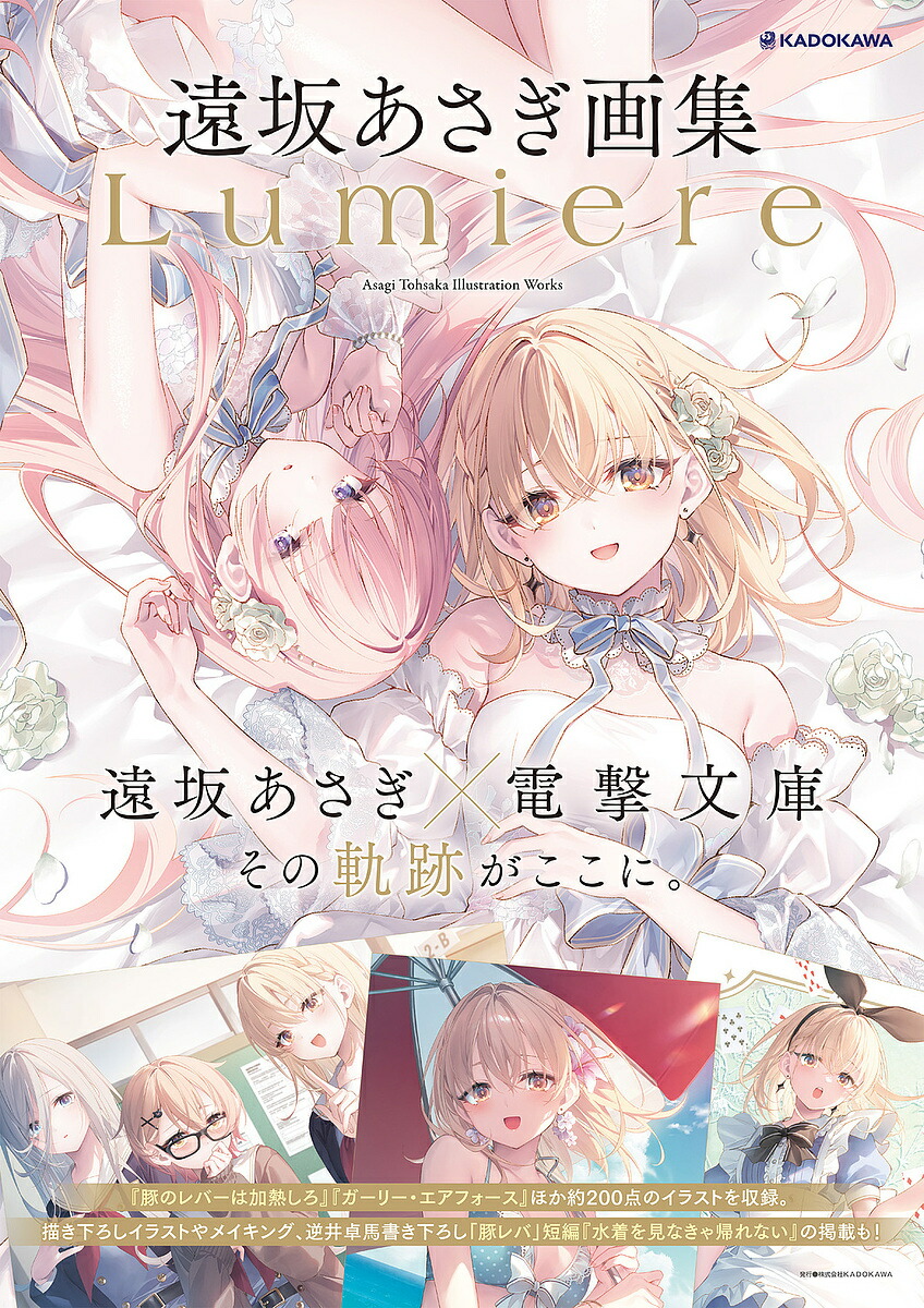 Ludique 赤倉画集　アニメイト限定版 Amazon.co.jp: 赤倉画集 Ludique アニメイト限定版 特典付 : おもちゃ