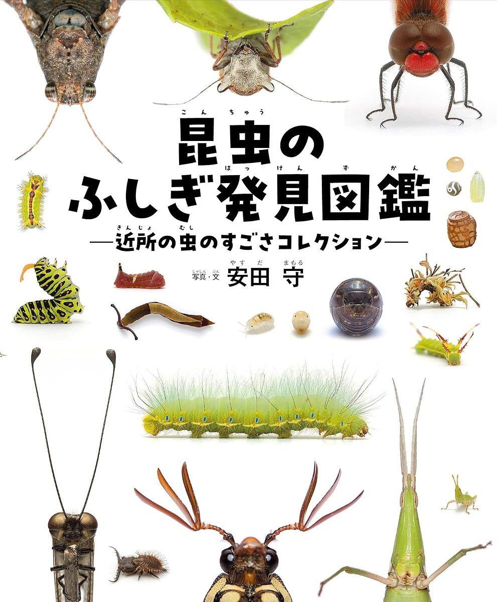 昆虫図鑑、ドリル9冊セット【17000円相当】●発送8月6日まで。次は18日 Amazon.co.jp: 昆虫 低学年 (ゆるゆる図鑑 読解力ドリル