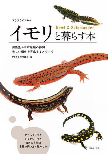 【送料無料】有尾類 イモリ サンショウウオ 爬虫類 両生類 洋書 図鑑 61Enxhl6hVL._AC_UL210_SR210,