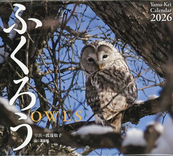 楽天市場】HUKULOU COFFEE フクロウ コーヒー 2026年 壁掛けカレンダー