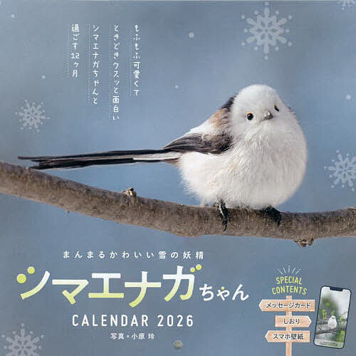 楽天市場】シマエナガ KO635939 壁掛け はっきり見やすいデカ文字