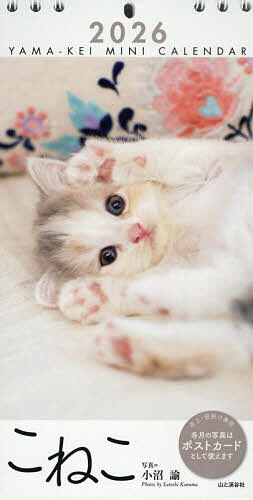 楽天市場】【ポイント10倍 & クーポン！】子猫のマンチカン 2026