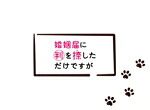 【中古】 婚姻届に判を捺しただけですが　ＤＶＤ&minus;ＢＯＸ／清野菜名,坂口健太郎,倉科カナ,高杉真宙,前野朋哉,有生青春（原作）,末廣健一郎（音楽）,ＭＡＹＵＫＯ（音楽）｜ブックオフ 店