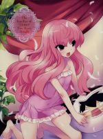 【中古】 ゼロの使い魔〜双月の騎士〜DVD−BOX／ヤマグチノボル（原作）,釘宮理恵（ルイズ）,日野聡（平賀才人）,兎塚エイジ（キャラクター原案）,藤井昌宏（キャラクターデザイン、総作画監督）,光宗信吉（音楽）画像