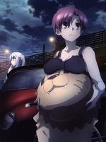 【中古】 Fate／kaleid　liner　プリズマ☆イリヤ　ツヴァイ　ヘルツ！第2巻（Blu－ray　Disc）／ひろやまひろし（原作）,TYPE－MOON（原作）,門脇舞以（イリヤスフィール・フォン・アインツベルン）,名塚佳織（美遊・エ画像