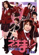 【中古】 TVドラマ　魔法先生ネギま！　DVD−BOX（1）／柏幸奈,若月さら,おおつか麗衣,麻生夏子,赤松健（原作）,佐藤泰将（音楽）画像