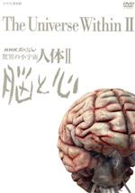 【中古】 ＮＨＫスペシャル　驚異の小宇宙　人体II　脳と心　ＤＶＤ　ＢＯＸ／（ドキュメンタリー）,久石譲（音楽）｜ブックオフ 店