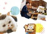 【中古】 おじさまと猫　Ｂｌｕ－ｒａｙ　ＢＯＸ（Ｂｌｕ－ｒａｙ　Ｄｉｓｃ）／草刈正雄,神木隆之介（声優）,松本穂香（声優）,小関裕太,武田玲奈,平山広行,高橋ひとみ,桜井海（原作）