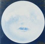 【中古】 【輸入盤】Ｓｕｍｍｅｒｔｅｅｔｈ（Ｄｅｌｕｘｅ　Ｅｄｉｔｉｏｎ）（４ＣＤ）／ウィルコ