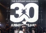 【中古】 ３０ｔｈ　ＡＮＮＩＶＥＲＳＡＲＹ　ＴＯＵＲ“ＴＨＥ　ＦＩＧＨＴＩＮＧ　ＭＡＮ”ＦＩＮＡＬさいたまスーパーアリーナ（初回限定版）（Ｂｌｕ－ｒａｙ　Ｄｉｓｃ）／エレファントカシマシ