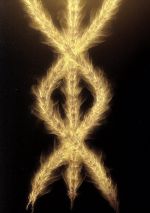 【中古】 GODZILLA　星を喰う者　スタンダード・エディション／森山佑樹（CGキャラクターデザイン）,宮野真守,櫻井孝宏,花澤香菜,静野孔文（監督）,瀬下寛之（監督）,服部隆之（音楽）画像