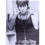 【中古】 ＣＯＵＮＴＤＯＷＮ　ＬＩＶＥ　ＣＲＯＳＳＯＶＥＲ　１２&minus;１３（ＨＩＭＵＲＯ．ＣＯＭ限定版）／氷室京介｜ブックオフ 店 19,166円