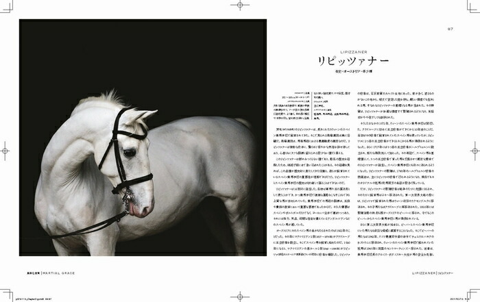 楽天市場 世界で一番美しい馬の図鑑 三省堂書店