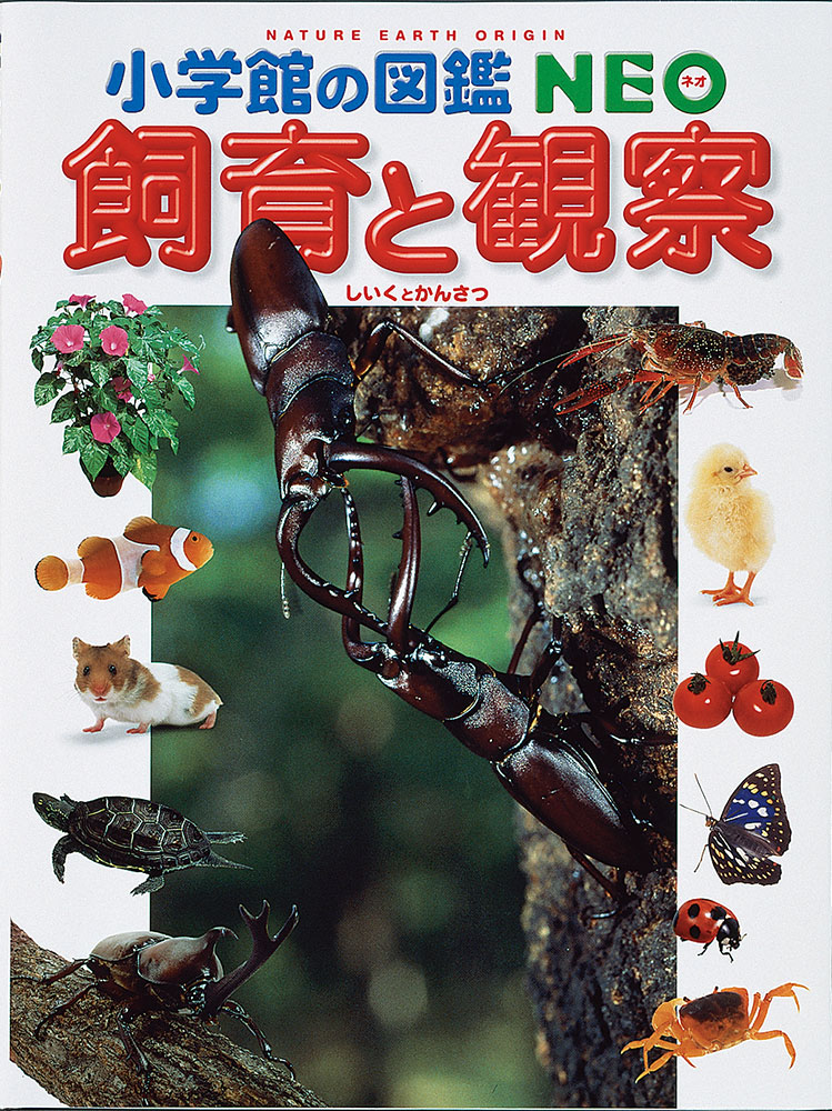 楽天市場 書籍 小学館の図鑑 ｎｅｏ飼育と観察 三省堂書店