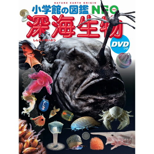 小学館の図鑑 NEO 昆虫 きのこ イモムシとケムシ 危険生物 DVD 小学館の図鑑NEO イモムシとケムシ DVDつき: チョウ・ガの幼虫
