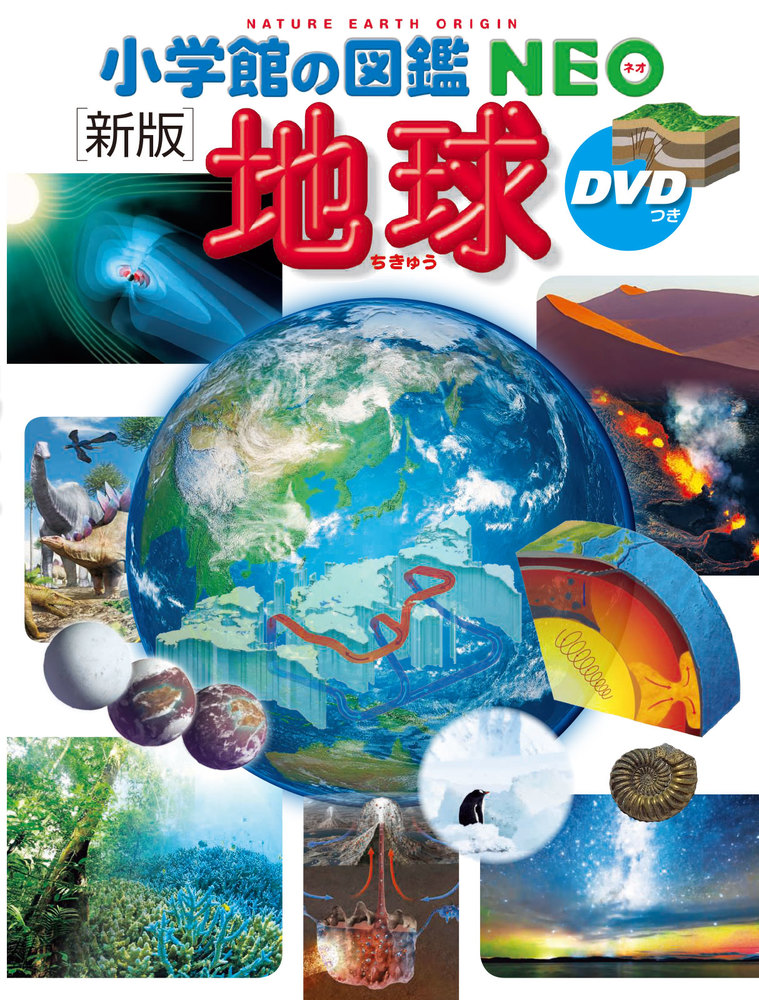 小学館の図鑑NEO 楽しく遊ぶ学ぶ図鑑9冊セット Amazon.co.jp: ふしぎの図鑑 楽しく遊ぶ学ぶ プレNEO ネオ