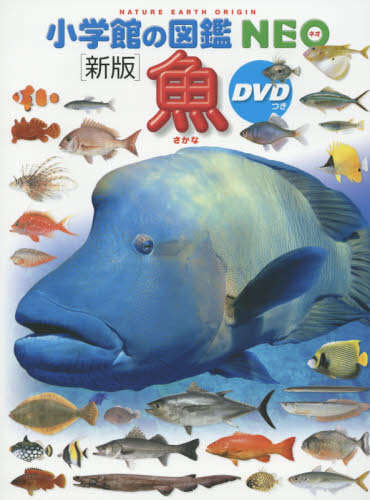 楽天市場】【 小学館の図鑑 NEO 深海生物 DVDつき 】 ずかん