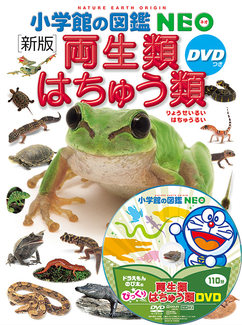 楽天市場】【 小学館の図鑑 NEO 動物 DVDつき 新版 】 ずかん