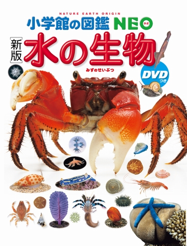 楽天市場】【 小学館の図鑑 NEO 深海生物 DVDつき 】 ずかん