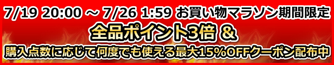 楽天市場】代々木ゼミナール 代ゼミ 正道英語〜難関大攻略への道