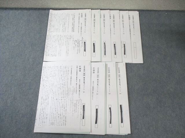 楽天市場】SAPIX サピックス SS特訓 慶應知識問題対策プリント 国語