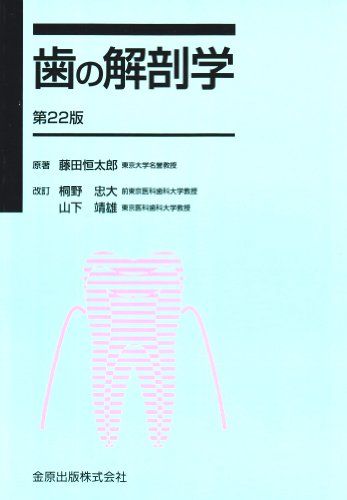 日本人　永久歯解剖学 m20599078589_1.jpg?1724068346