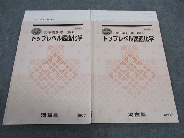 トップレベル物理 講習　テキストと板書 ✨️最安値✨️トップレベル物理 全分野 ハイレベル物理 板書 苑田先生