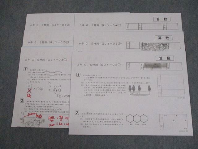 サピックス＊ＳＳ特訓６年＊算数／豊島岡 対策＊１６回～実力テストあり＊２０２３年 サピックス＊SS特訓6年＊算数／豊島岡女子学園 対策＊全28