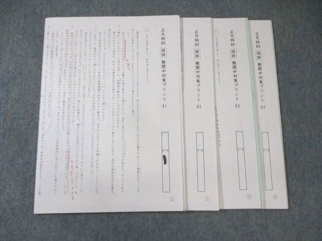 楽天市場】SAPIX サピックス SS特訓 慶應知識問題対策プリント 国語