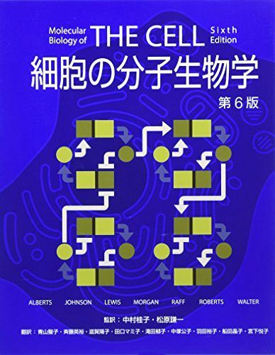 進化 分子・個体・生態系／ニコラス・Ｈ．バートン，デレク・Ｅ．Ｇ．ブリッグス，ジョナサン・Ａ．アイゼン，デイビッド・Ｂ．ゴールドステイン，ニパム・Ｈ．パテル【著】，宮田隆，星山大介【監訳】 進化 分子・個体・生態系 ニコラス H．バートン／著 デレク E