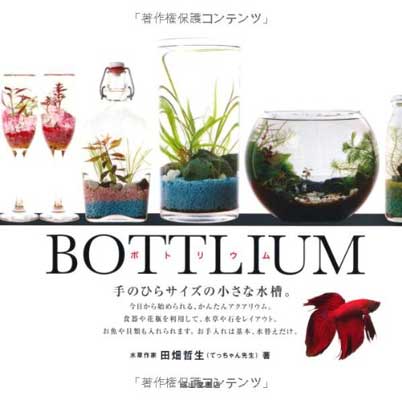 楽天市場】【送料無料】水槽 キューブガーデン ADA アクア