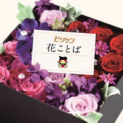 【中古】花ことば|ブックサプライ