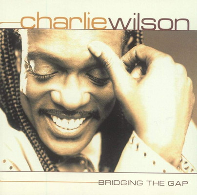 【中古】Bridging the Gap|ブックサプライ