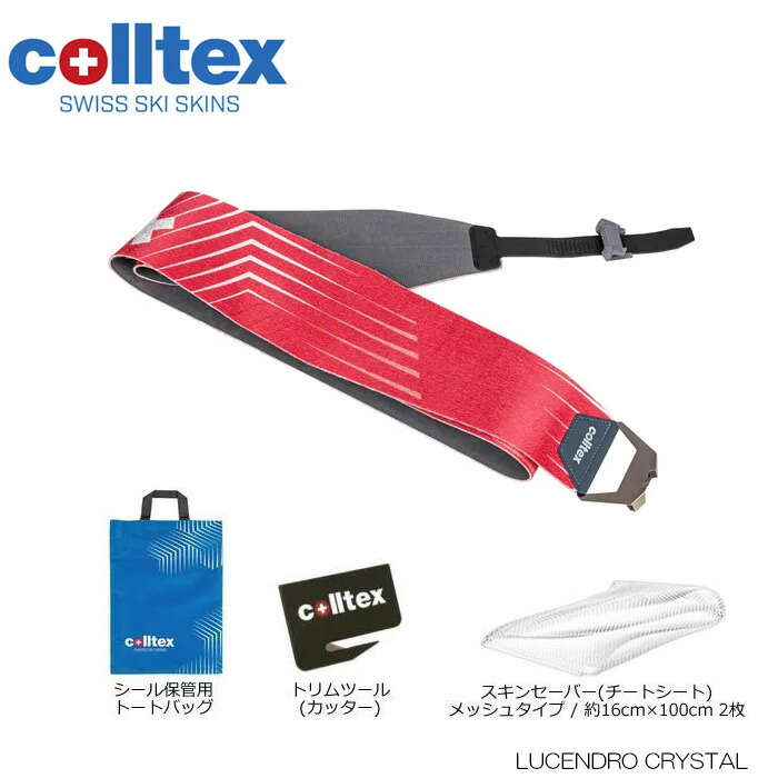 楽天市場】23-24 COLLTEX コールテックス TODI トディ スキー長185cm