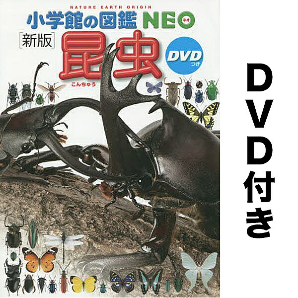 小学館 - 小学館の図鑑　NEO　昆虫　乗りもの　きのこ　動物　DVD 小学館の図鑑NEO〔新版〕 昆虫 DVDつき : 奈良 蔦屋書店ヤフー店