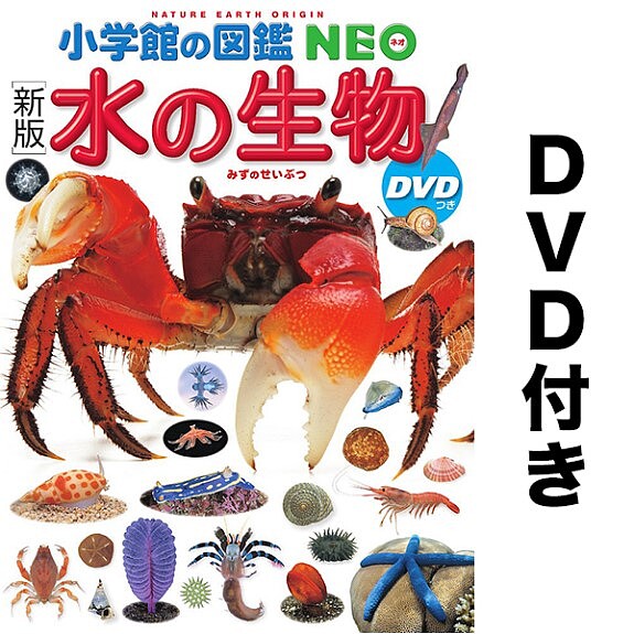 楽天市場】チュウチュウ通りのゆかいななかまたち 10巻セット