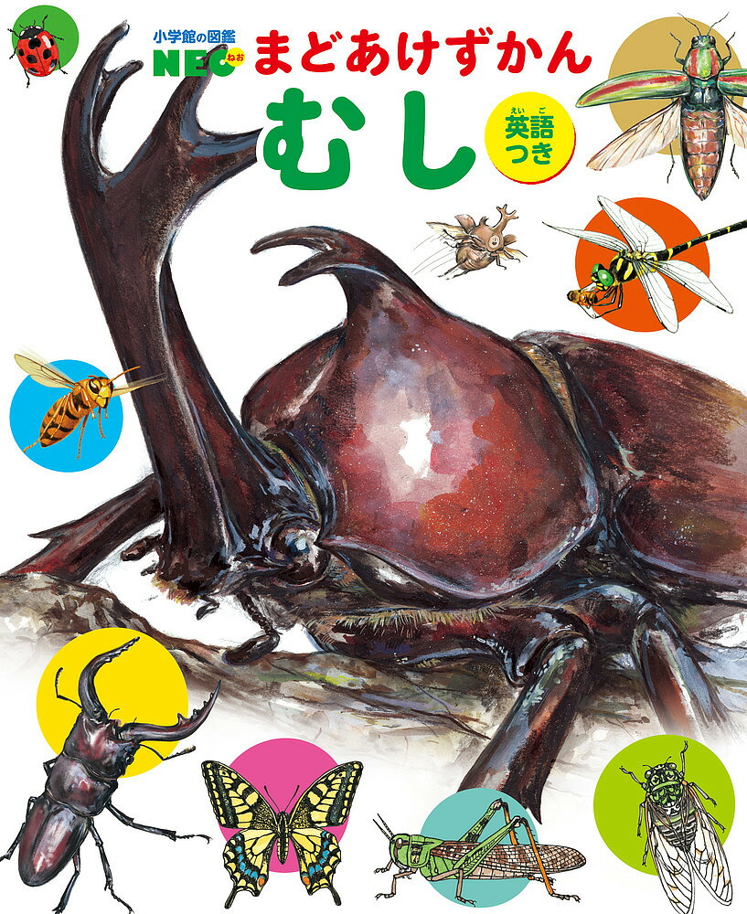 楽天市場】まどあけずかん きけんせいぶつ 英語つき 小学館の