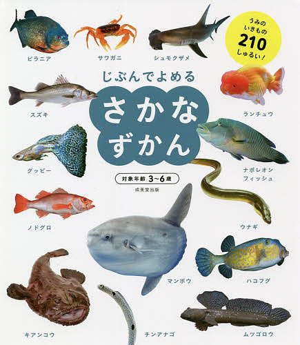 自然に学ぶくらし ：石田秀輝 - 日教販 児童書ドットコム