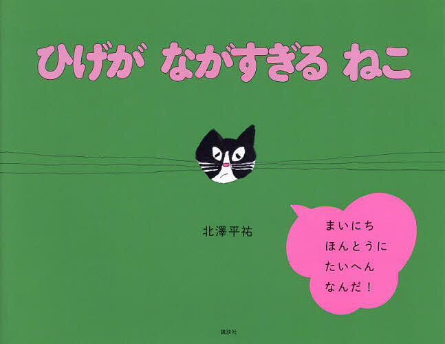 楽天市場】しずかにねむるねこ／浅野薫【3000円以上送料無料