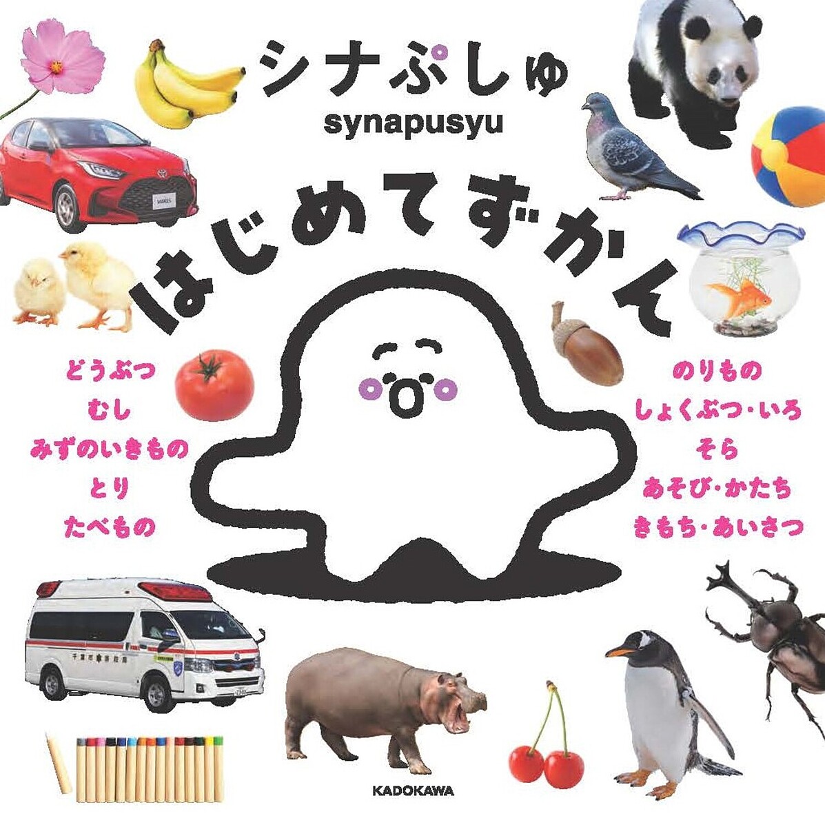 楽天市場】タッチペンで音が聞ける!はじめてずかん1000 英語つき