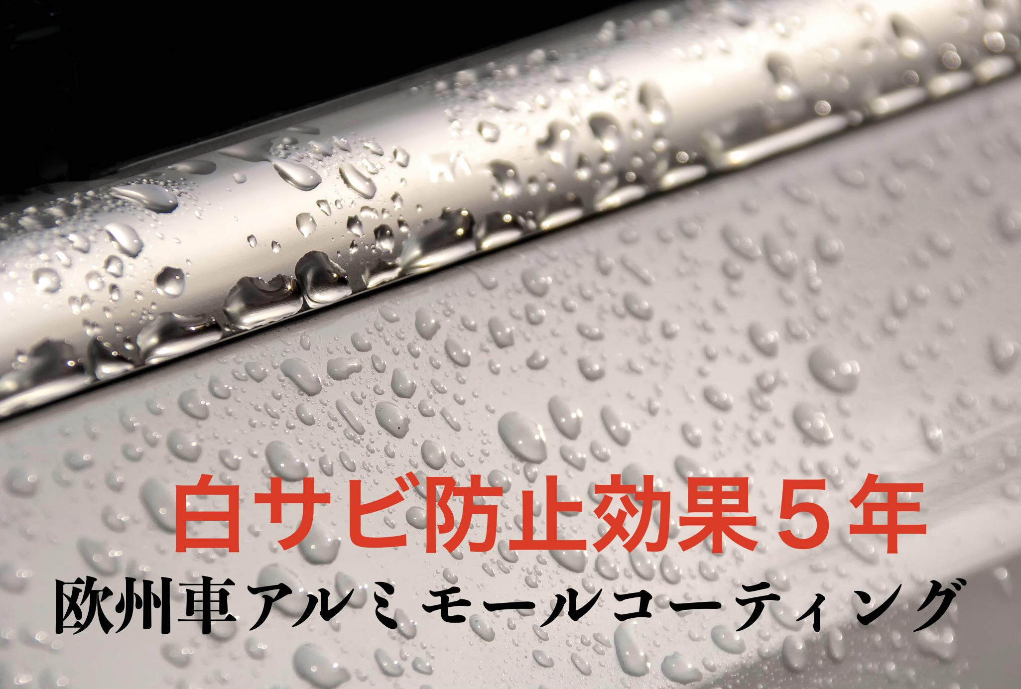 楽天市場 欧州車 アルミモール 白サビ防止 ガラスコーティング 効果5年持続 耐候 耐キズ Aluminum Coating Eighty Eight 楽天市場店