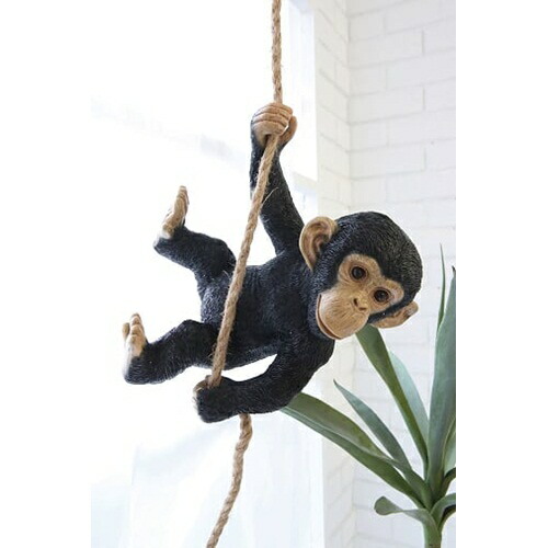 楽天市場 ベイビー モンキー Ts 31 Covent Garden アニマル オブジェ さる 猿 赤ちゃん 装飾 かわいい ディスプレイ インテリア コレクション 店舗什器 おしゃれ アンティーク調 置物 雑貨 プレゼント スタイルライフbosky