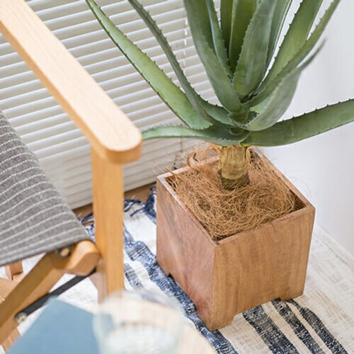 13円 高品質 キューブポットカバー Lサイズ 5号鉢用 Dl6 Posh Living フラワースタンド ポットカバー 鉢カバー ポットスタンド 鉢スタンド プランター カバー 鉢 ポッシュリビング ポット 木製 ウッド ナチュラル 140