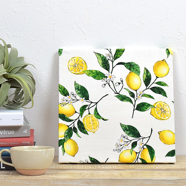 504円 国内送料無料 ファブリックパネル Sサイズ 18cm×26cm フェザーライン フェザー グリーン ナチュラル 花 玄関 おしゃれ ファブリックボード シンプル 壁掛け 504円 国内送料無料 ファブリックパネル Sサイズ 18cm×26cm フェザーライン フェザー グリーン ナチュラル 花 玄関 おしゃれ ファブリックボード シンプル 壁掛け