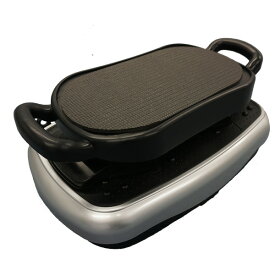 【尖んがり10倍】 LIFE FIT調教師 2way [Fit001] ゼンケン ブルブル 振りまわす 機関 体幹 食事制限 運動すること シェイプアップ 形づくる フィットネスマシン 思わしい手道具