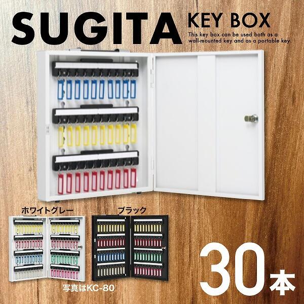 エースキーボックス 30本用 [KC-30WG・KC-30BK] 杉田エース ホワイトグレー ブラック 防犯 キープレート 保管 セキュリティ キーボックス キーキャビネット 鍵 カギ｜通販所本舗