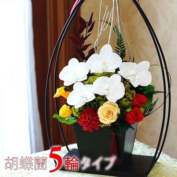 プリザーブドフラワー 花 胡蝶蘭 プレゼント ギフト 喜寿 和風 花 結び胡蝶蘭 プレゼント 皐月 5輪タイプ ブリザードフラワ 古希 喜寿 傘寿 米寿 卒寿 白寿 祝い 結婚式 プレゼント 花 退職祝い 誕生日 結婚祝い お供え フラワーギフト ブーケブランシェ プリザーブドフラワー 花 胡蝶蘭 プレゼント ギフト 喜寿 和風 花 結び胡蝶蘭 プレゼント 皐月 5輪タイプ ブリザードフラワ 古希 喜寿 傘寿 米寿 卒寿 白寿 祝い 結婚式 プレゼント 花 退職祝い 誕生日 結婚祝い お供え フラワーギフト ブーケブランシェ
