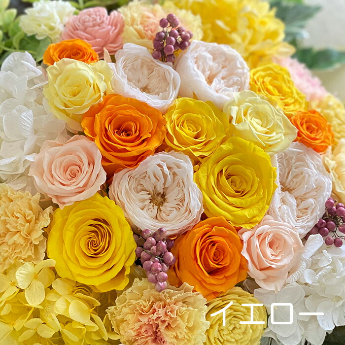 プリザーブドフラワー 花 誕生日 結婚式 フィオーレ ダブル 花 観葉植物 ブリザードフラワー ギフト ブーケ ウェディングギフト ブリザーブドフラワー 両親 ギフト 還暦祝い プリザードフラワー 結婚記念日 誕生日 退職祝い 送料無料 送別会 結婚祝い プリザーブド