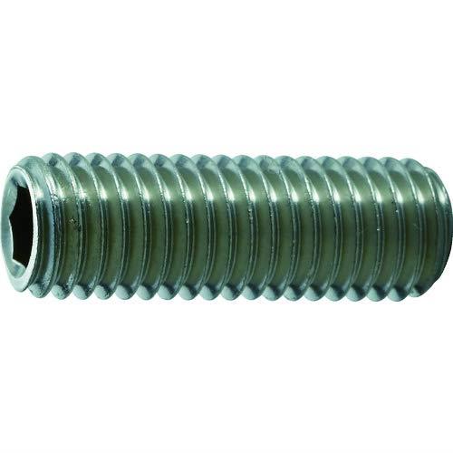 【楽天市場】TRUSCO(トラスコ) 六角穴付止めネジ 平先 ステンレス M10x16 10本入 B771016：bouro楽天市場店